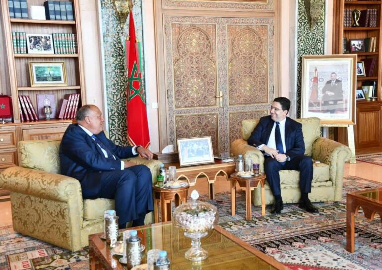 SAHARA : L&rsquo;Egypte plaide l&rsquo;intégralité territoriale du Maroc