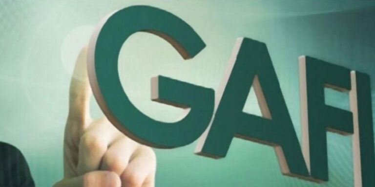 Sortie de la liste grise du GAFI: un  désaveu cinglant aux détracteurs du Maroc au sein du Parlement européen