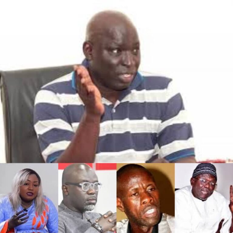 L&rsquo;économiste Mayacine Camara met à nu l&rsquo;inculture de Madiambal Diagne